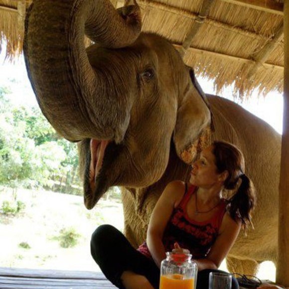 Meet your Posher, Jamie - Picture 1 of 1